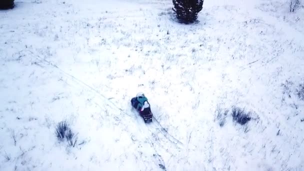 Une forêt d'hiver. Les gens qui roulent en motoneige sur terrain enneigé. Fusillade en hélicoptère. Aperçu général . — Video