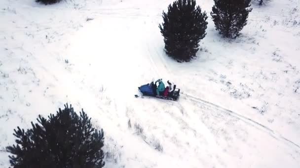 Zima Las. Dwie osoby, jazda na skuterach śnieżnych na śniegu pokryte pole. Śmigłowiec strzelanie. Przegląd. — Wideo stockowe