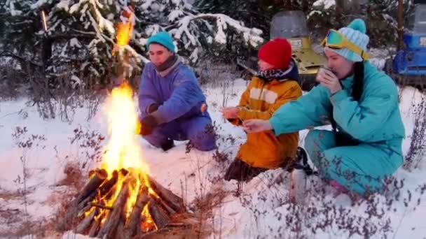 Kış orman. Ormanda ateşin yanında oturan aile. Genç bir kadın çay termosu içiyor. — Stok video