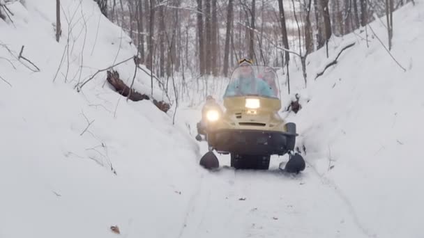 Bosque de invierno. Jóvenes en motos de nieve que van por el camino — Vídeos de Stock