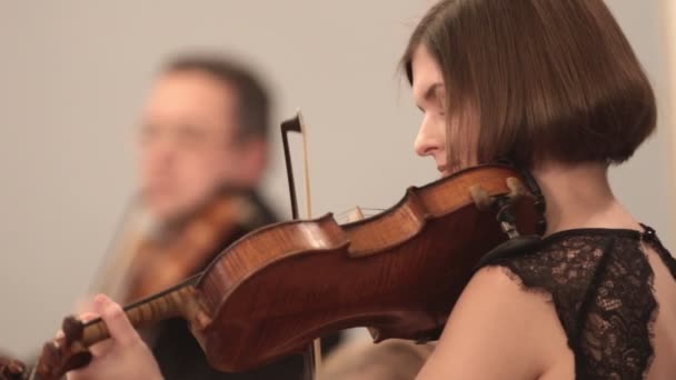 Orquestra de Câmara. Uma jovem tocando violino durante uma apresentação. ângulo lateral . — Vídeo de Stock