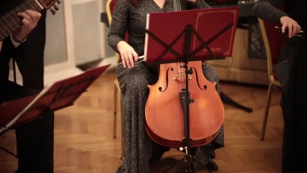 Камерний оркестр. Жінка в довгій сукні грає на віолончелі — стокове відео