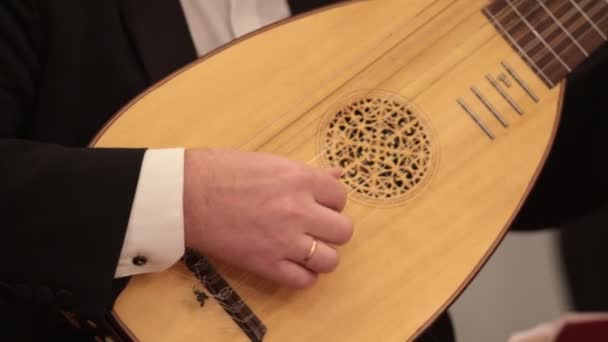 Orquesta de cámara. Un hombre tocando laúd. De cerca. — Vídeos de Stock