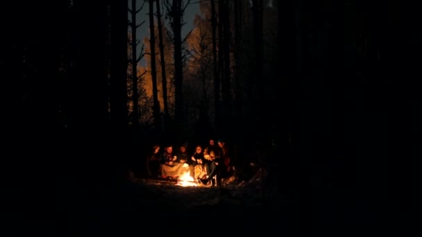 Jóvenes en el bosque de invierno sentados junto al fuego — Vídeos de Stock