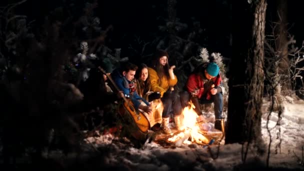 Jovens na floresta de inverno sentados ao lado do fogo. Fritar comida no fogo — Vídeo de Stock