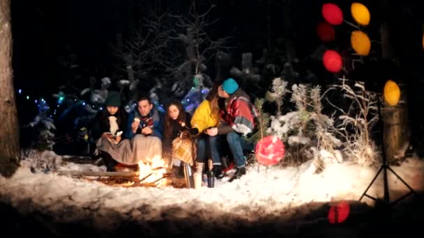 Jóvenes en el bosque de invierno sentados junto al fuego. Un lindo beso de pareja. Feliz grupo de amigos disfrutando de sus vacaciones — Vídeos de Stock