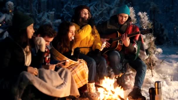 Groupe d'amis assis dans la forêt d'hiver près du feu. Un jeune homme tenant une guitare — Video