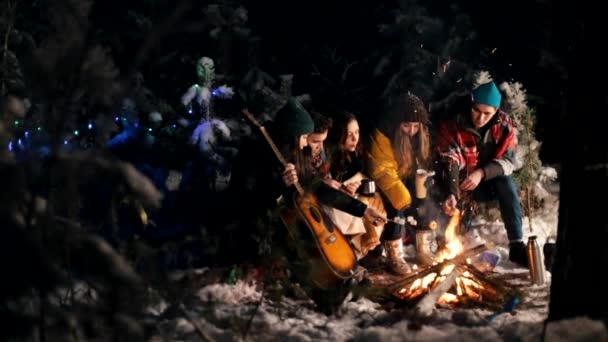 Grupo de amigos sentados na floresta de inverno junto ao fogo e fritando marshmallows. Um jovem segurando guitarra — Vídeo de Stock