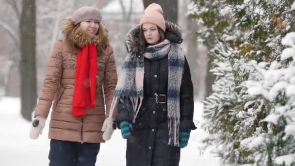 Duas meninas no inverno andando e conversando umas com as outras. Discutir algo — Vídeo de Stock
