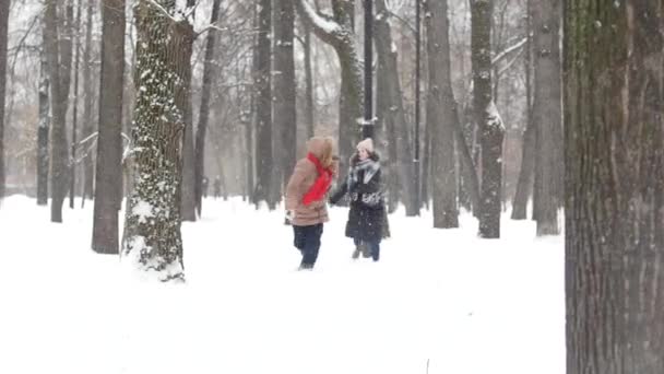 Twee meisjes in winter park vangst ups en sneeuwballen samen spelen en plezier — Stockvideo