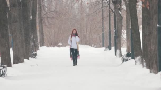 Winter park. A woman with bright red hair talking on phone. A heavy snowfall. Bad weather — Stock Video