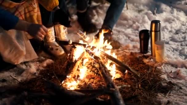 겨울 숲에서 모닥불입니다. 밤 시간입니다. 마쉬 멜 로우 튀김 열전대는 눈에 서 서 — 비디오