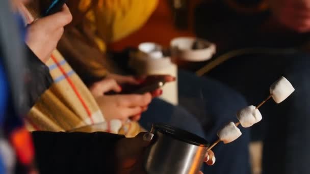 Gruppe von Freunden sitzt im Winterwald am Feuer, trinkt heiße Getränke und isst Marshmallow — Stockvideo