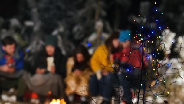 Gruppe von Freunden, die im Winterwald am Feuer sitzen. Sie sitzen in ihren Telefonen. Girlanden dekorierte Zweige im Fokus — Stockvideo