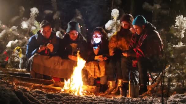 Grupa przyjaciół w zimowym lesie. Siedzi w pobliżu ognisku. Smażenia Zefir — Wideo stockowe