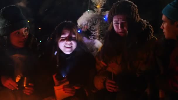 Grupo de amigos na floresta de inverno. Sentado perto da fogueira, a ouvir uma história e a ter medo. Fechar rostos — Vídeo de Stock