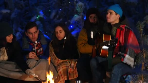 Група друзів у зимовому лісі. Сидячи біля багаття і їдячи зефір — стокове відео