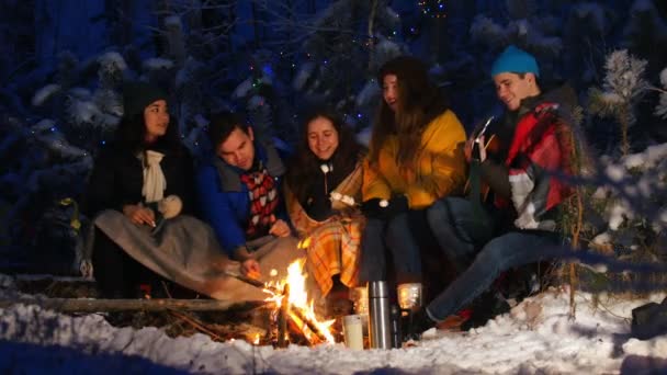 Grupo Amigos Floresta Inverno Sentado Perto Fogueira Comendo Marshmallow Tocando — Vídeo de Stock