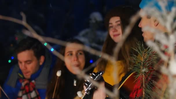 Group Friends Winter Forest Having Good Time Sitting Bonfire Young — Stock Video