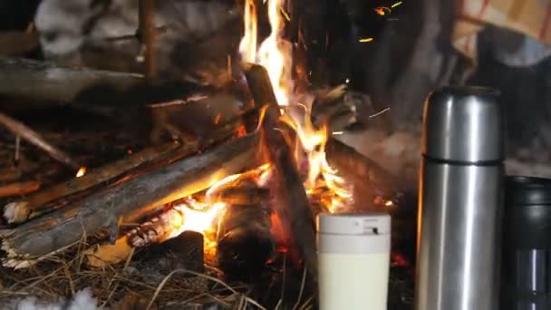 Grupo de amigos se divertindo na floresta. Fogueira na floresta de inverno. Boa noite. A fritar marshmallow. Termopares estão na neve — Vídeo de Stock