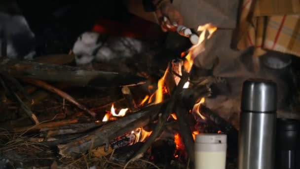 Gruppe Von Freunden Die Sich Wald Vergnügen Lagerfeuer Winterwald Nachts — Stockvideo
