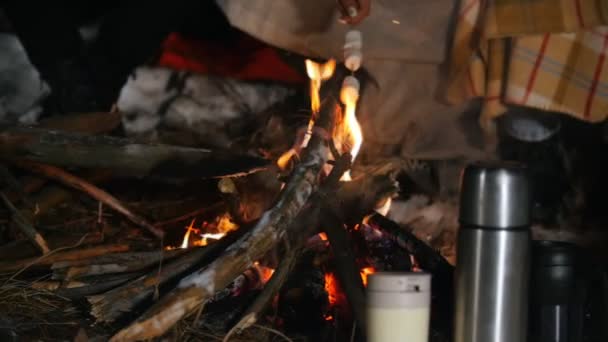 Group of friends having a good time in the woods. Bonfire in the winter forest. Night time. Frying marshmallow in slow motion — Stock Video