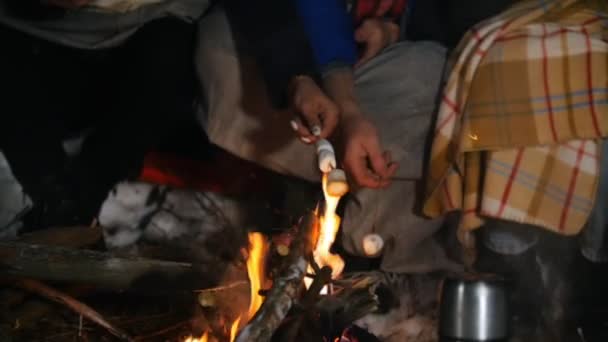 Grupp av vänner som har en bra tid i skogen på natten. Brasa i skogen vinter. Stekning marshmallow. — Stockvideo