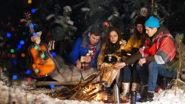 Gruppo di amici che si divertono vicino al fuoco nel bosco . — Video Stock