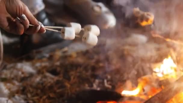 Grupo de amigos se divertindo perto do fogo na floresta. Marshmallows de fritura — Vídeo de Stock