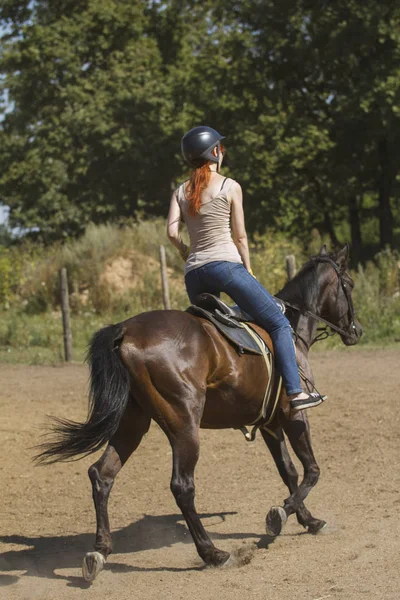 Cabello rojo joven en el caballo - vista trasera — Foto de Stock