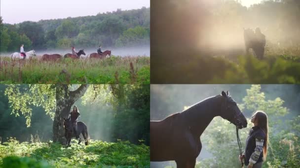 4 en 1: mujer joven montando un caballo en la naturaleza. tiempo brumoso — Vídeo de stock