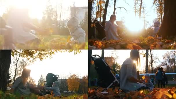 4 en 1: Madre jugando con un niño pequeño al atardecer — Vídeo de stock