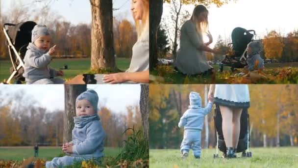 4 em 1: Mãe brincando com o menino no parque de outono ao pôr-do-sol — Vídeo de Stock