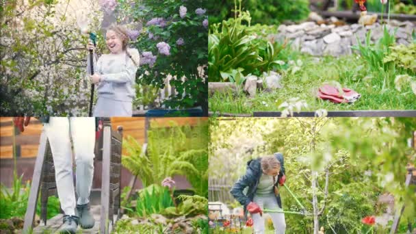 4 в 1: молода красива жінка, що працює в саду. обприскування води зі шланга, розрізання гілок — стокове відео