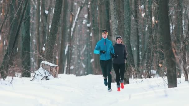 Mladý muž a žena v sportovní oblečení v zimě lese — Stock video