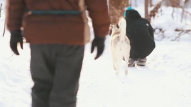 Köpek doğurmak husky giysileri değişen insanlar için çalışır