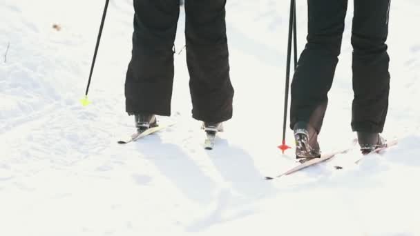 Gente activa esquiando en el bosque invernal. Clima soleado — Vídeo de stock