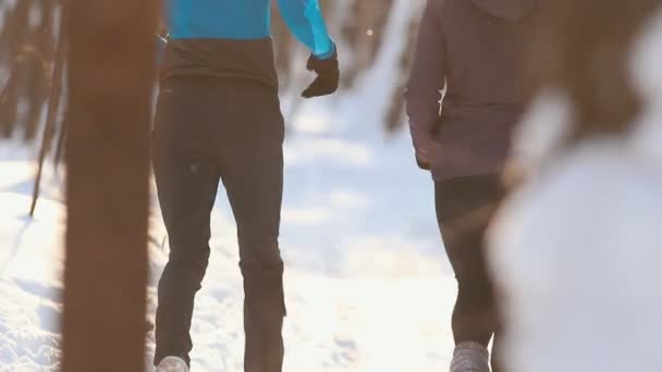Jovens esportes casal correndo em bosques à luz do sol bonita. Inverno. Visão traseira — Vídeo de Stock