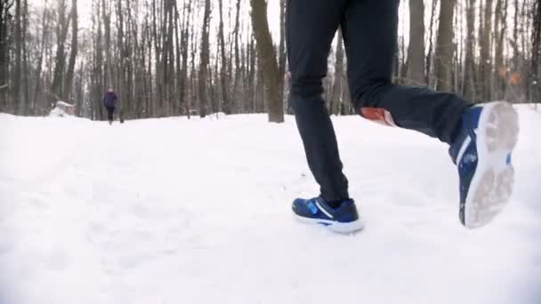 Téli erdő. Fiatal férfi és nő fut egymás felé — Stock videók