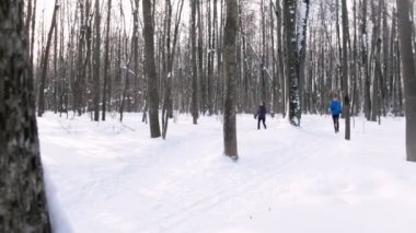 Kış orman. Genç adam ve kadın ormanda koşu