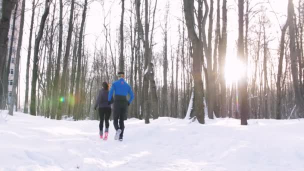 Winterwald. junger Mann und Frau joggen morgens — Stockvideo