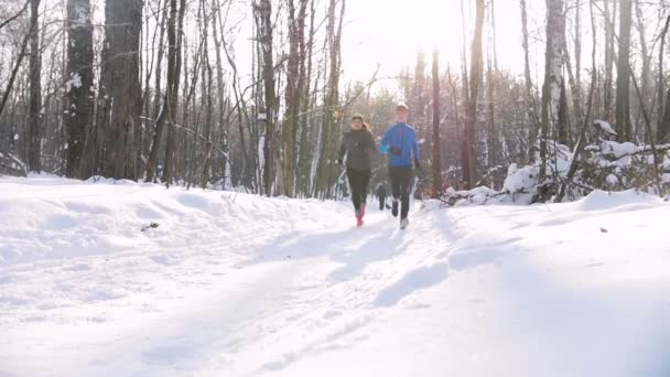 Téli erdő. Fiatal férfi és nő fut a reggel erdőben. Gyönyörű napfény és kristály hó — Stock videók