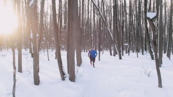 Jovem e mulher correndo na floresta de inverno no início da manhã. Bela luz solar. Câmera de calibração — Vídeo de Stock