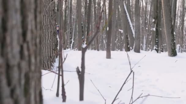 若い男と女を実行していると、早朝の冬の森の話. — ストック動画