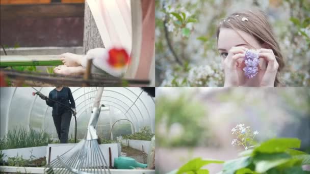 En1 Mujer Joven Jardín Verano Entre Hermosas Flores Collage — Vídeos de Stock