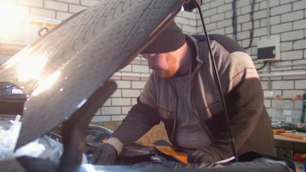 Autoservis. Tlusté mechanik muž kontroluje olej — Stock video