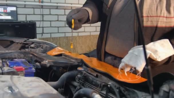 Servicio de coches. Hombre mecánico grueso comprueba el estado del petróleo — Vídeo de stock