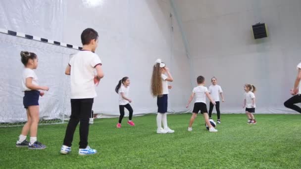 Arena de fútbol interior. Los niños pequeños juegan al balón. Vista trasera — Vídeo de stock