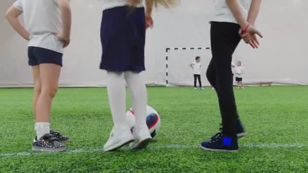 Campo da calcio al coperto. Bambini piccoli divisi in due squadre e in attesa di iniziare a giocare — Video Stock