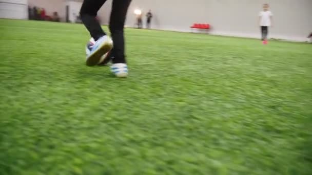 Indoor football arena. Little boy running after the ball — Stock Video